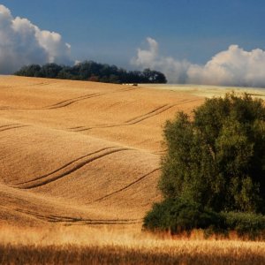 Cedynia Landscape Park — image 9 of 10