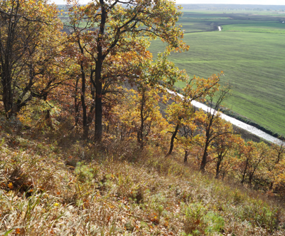 Cedynia Landscape Park — image 3 of 10