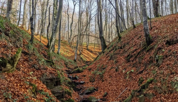 Park Narodowy Bieszczady — image 8 of 10