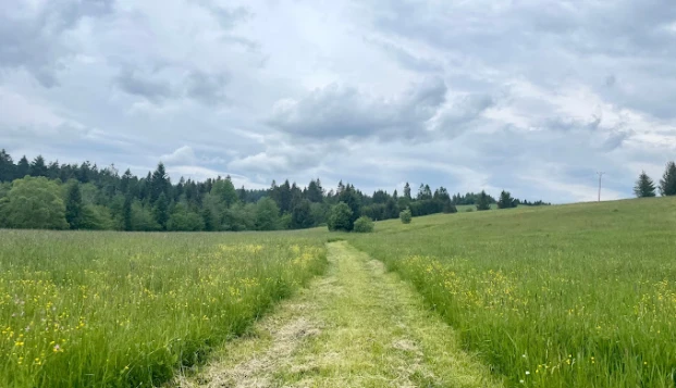 Park Narodowy Bieszczady — image 6 of 10