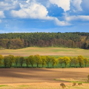 Cedynia Landscape Park — image 10 of 10