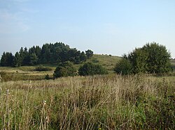 Ińsko Landschapspark — image 4 of 4