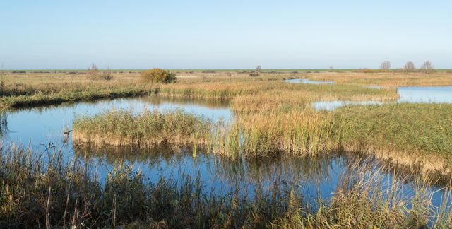 Nieuw Land National Park — image 2 of 10