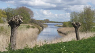 Oosterschelde National Park — image 8 of 10