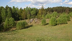Załęcze Landscape Park — image 5 of 9