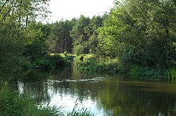 Załęcze Landscape Park — image 3 of 9