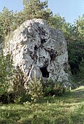 Załęcze Landscape Park — image 7 of 9