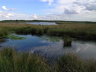 De Groote Peel National Park