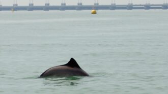 Oosterschelde National Park — image 3 of 10
