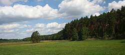 Wda Landscape Park — image 9 of 10