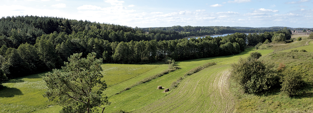 Krajna Landscape Park — image 8 of 10