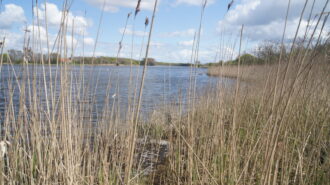 Oosterschelde National Park — image 7 of 10