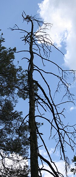 Wda Landscape Park — image 5 of 10