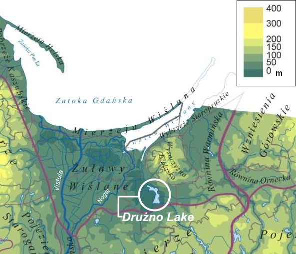 Druzno