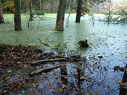 Ińsko Landschapspark — image 2 of 4
