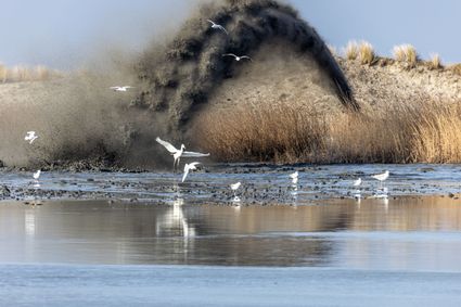 Nieuw Land National Park — image 9 of 10