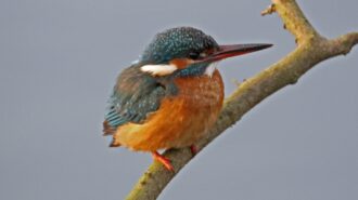 Oosterschelde National Park — image 9 of 10