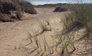 Oosterschelde National Park — image 10 of 10