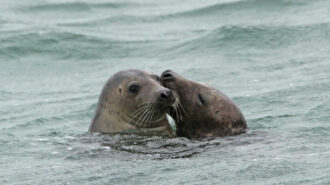 Oosterschelde National Park — image 2 of 10