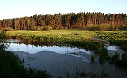 Załęcze Landscape Park — image 1 of 9