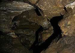 Załęcze Landscape Park — image 6 of 9