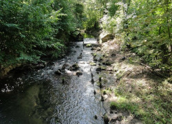 Gorzów Landscape Park — image 6 of 10