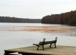 Gorzów Landscape Park — image 1 of 10