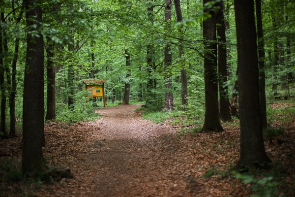 Chełmy Landscape Park — image 4 of 10